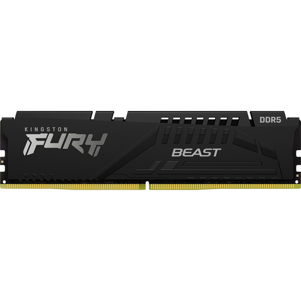 Beast 32 GB DDR5-5600 (1x 32 GB) werkgeheugen