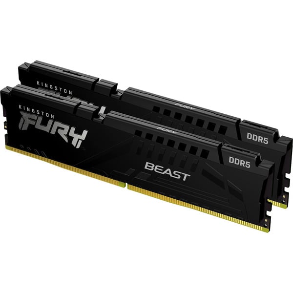 Beast 128 GB DDR5-5600 (2x 64 GB) werkgeheugen